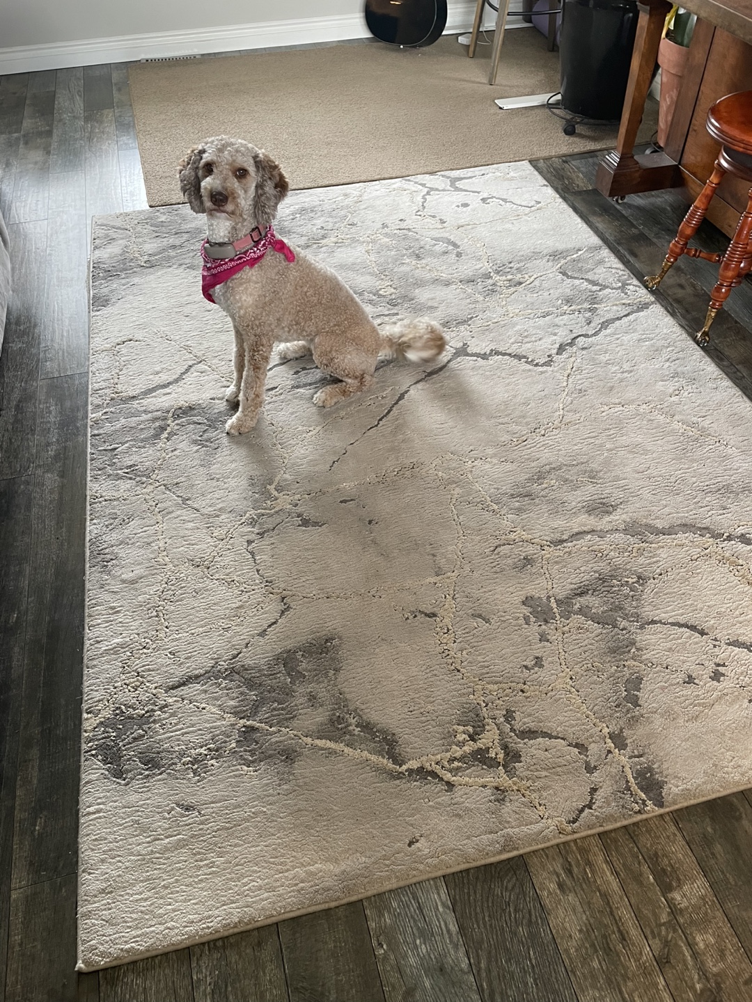Modern Abstract Area Rug and matching rubber - Grey and Beige - photo 2