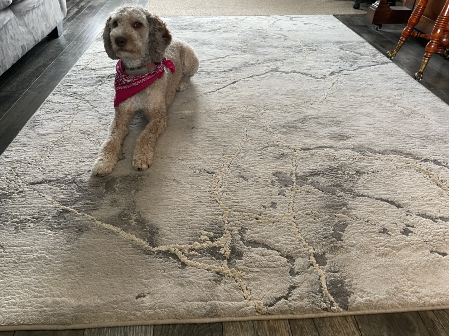 Modern Abstract Area Rug and matching rubber - Grey and Beige