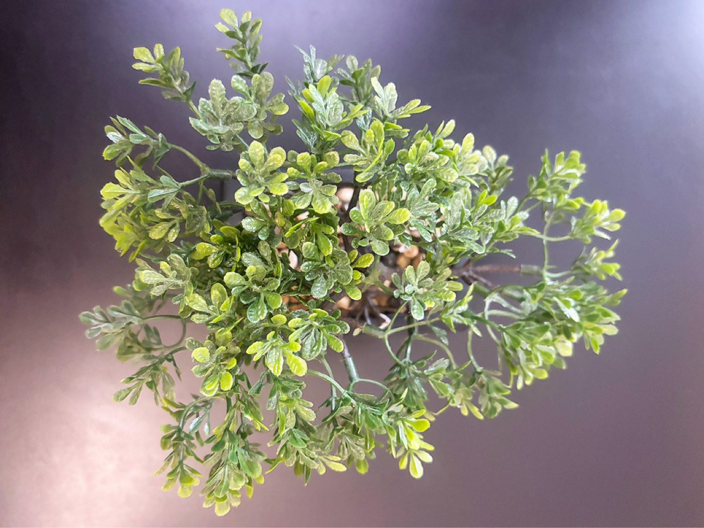 Artificial Mini Bonsai Tree in Decorative Pot - photo 4