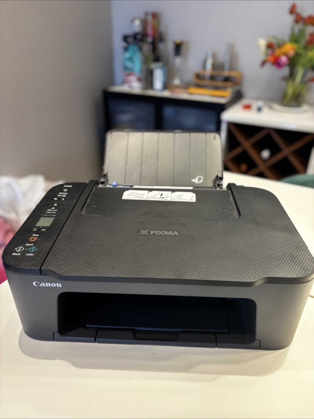 Canon PIXMA Inkjet Printer - with new ink