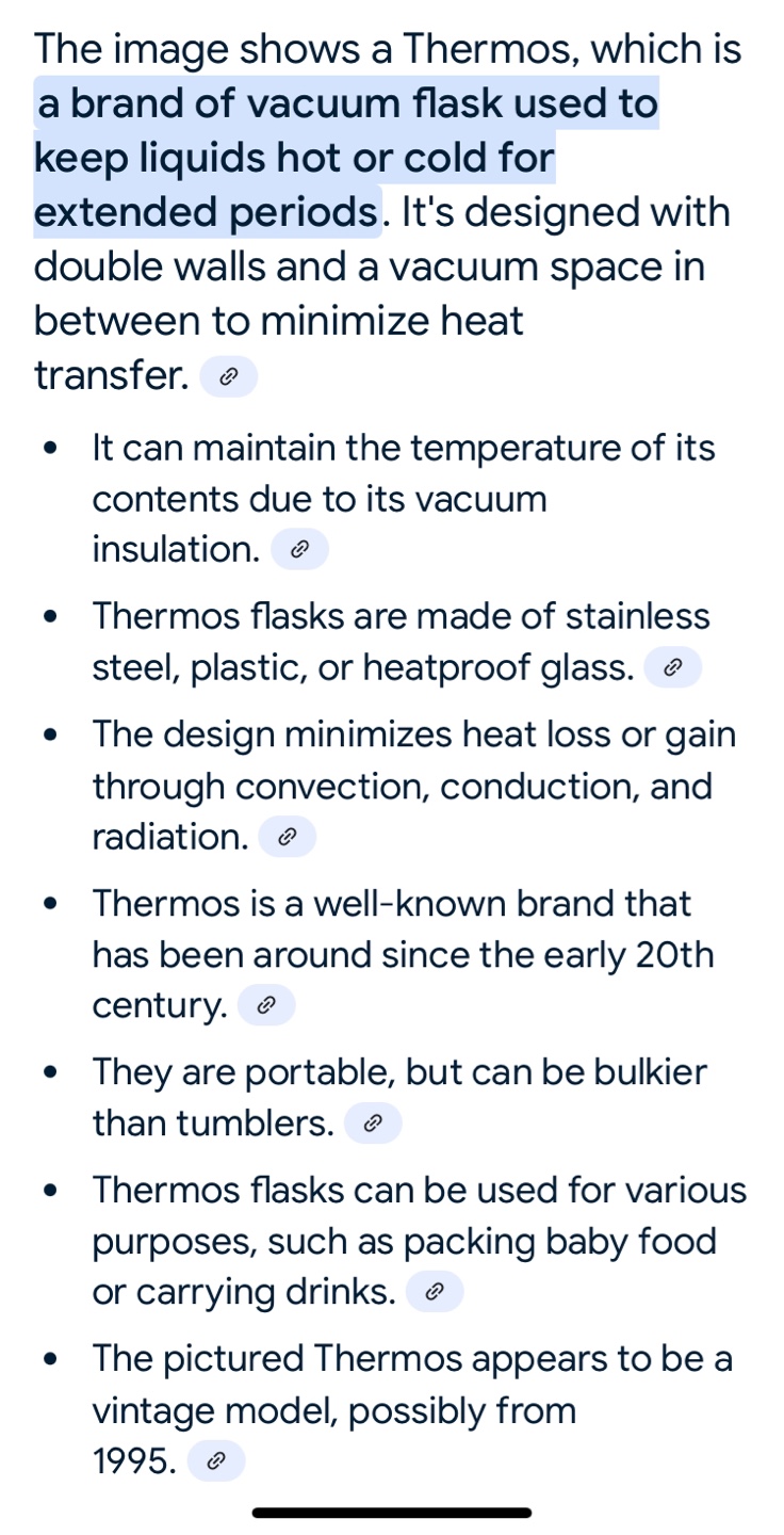 THERMOS - STAINLESS - photo 3