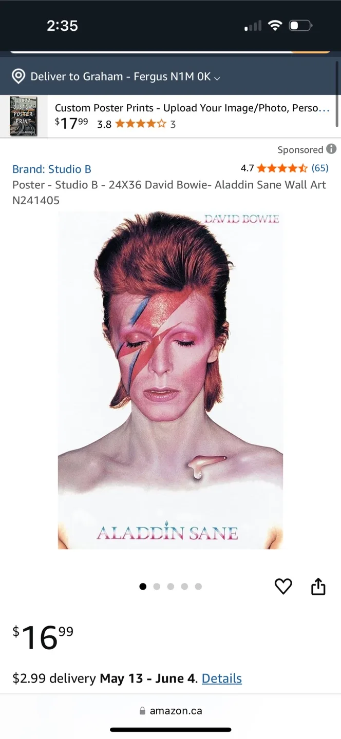 David Bowie Poster- still in original package thumbnail