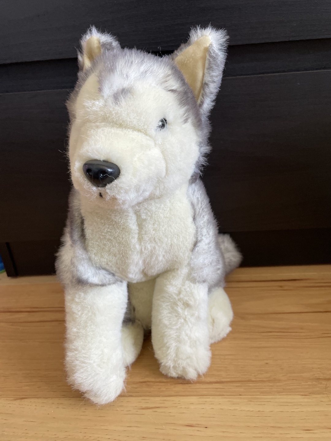Adorable Plush Husky Dog