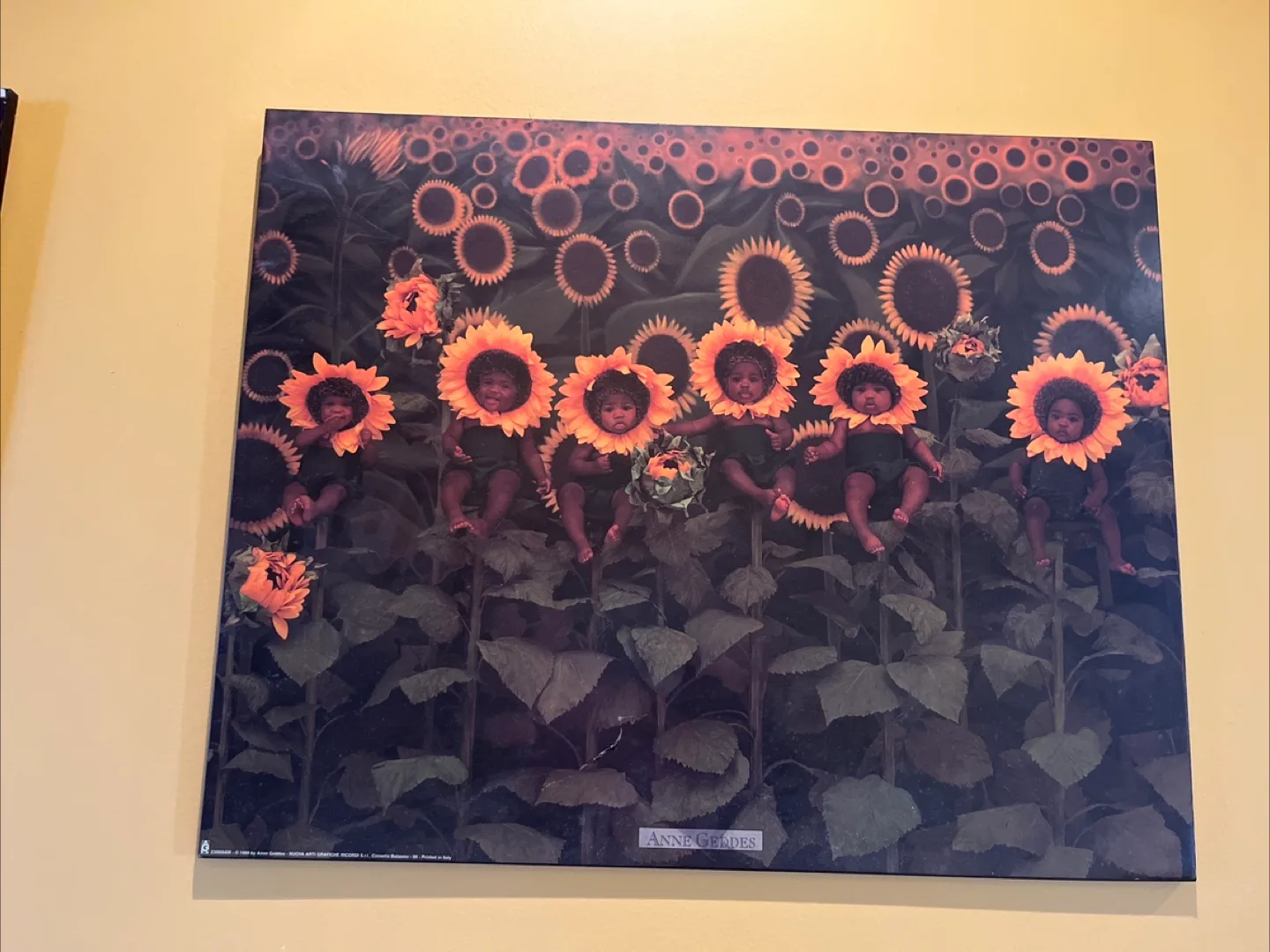 Set of Four Anne Geddes Baby Prints image indicator(2)