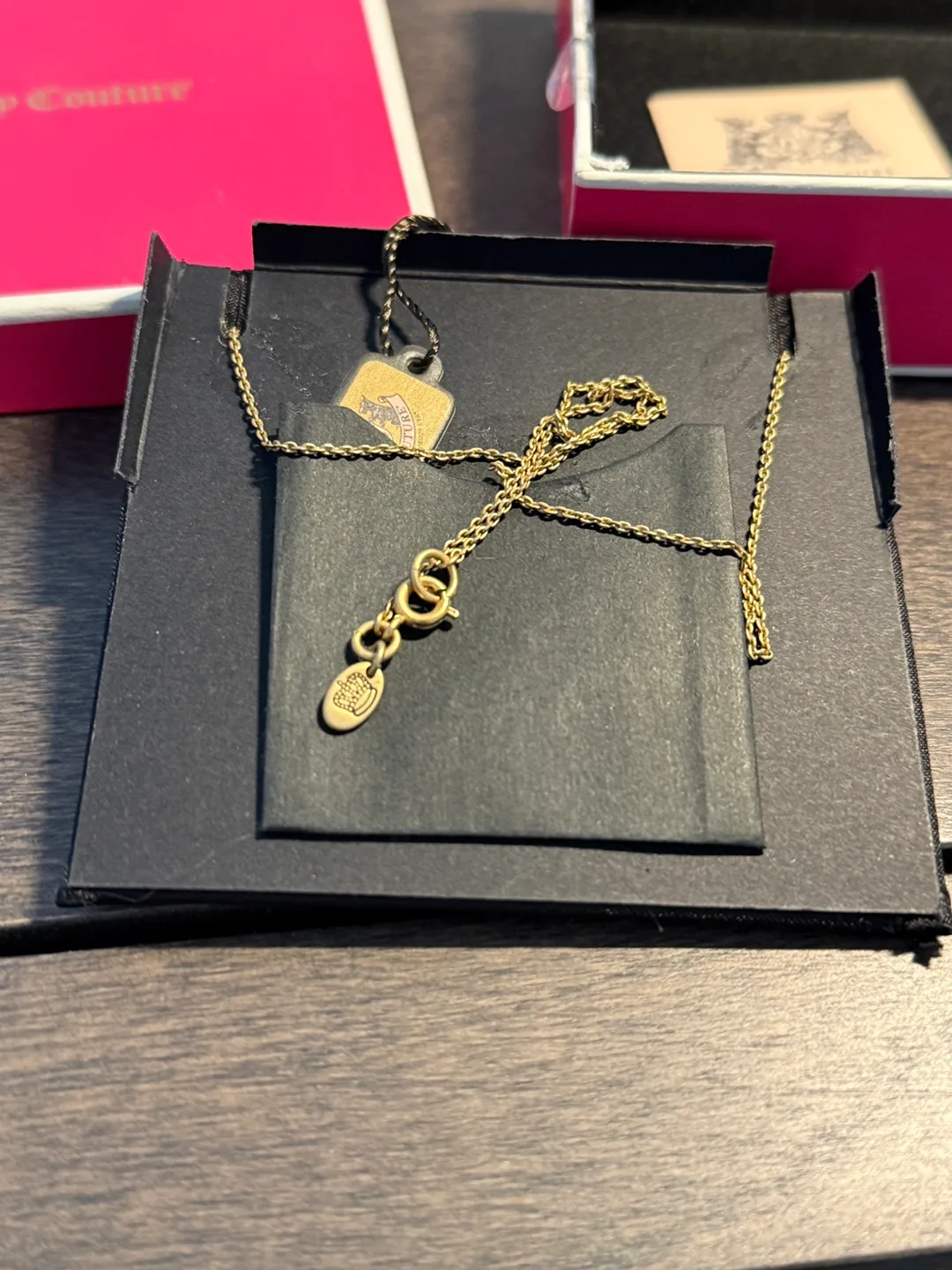 Juicy Couture Rub the Buddha's Belly Necklace image indicator(4)