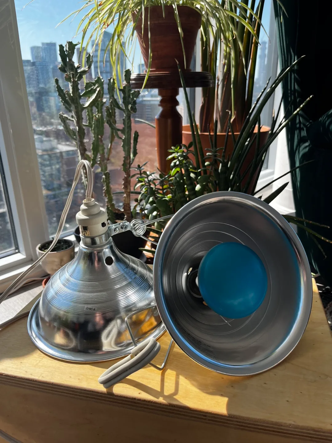 Pair of plant/pet Metal Clamp Lamps thumbnail
