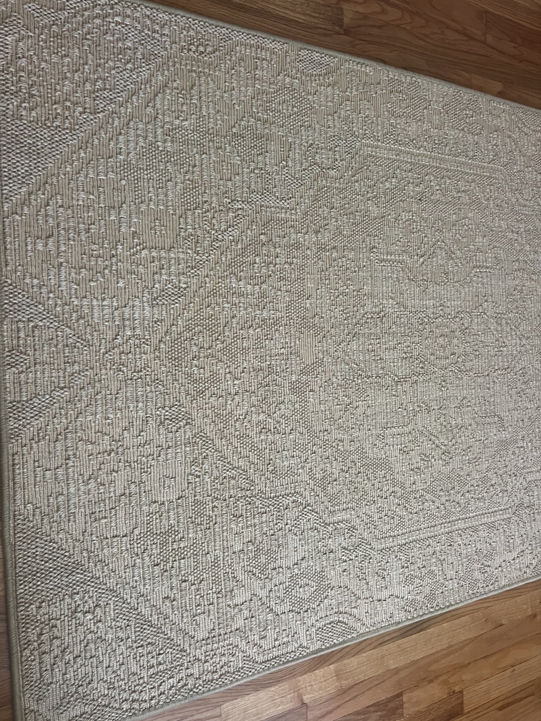 Beige Sisal Area Rug 4 X 6 - photo 2