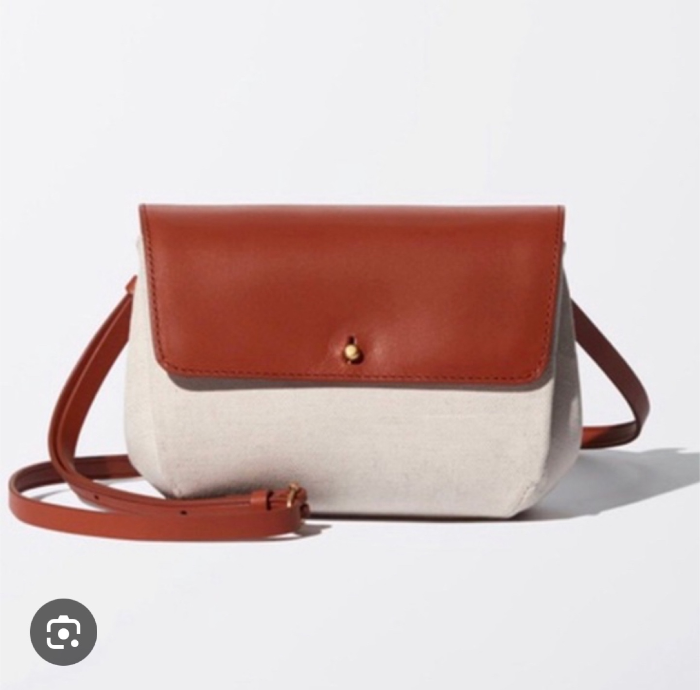 Aritzia Auxiliary Micro Dalen crossbody bag