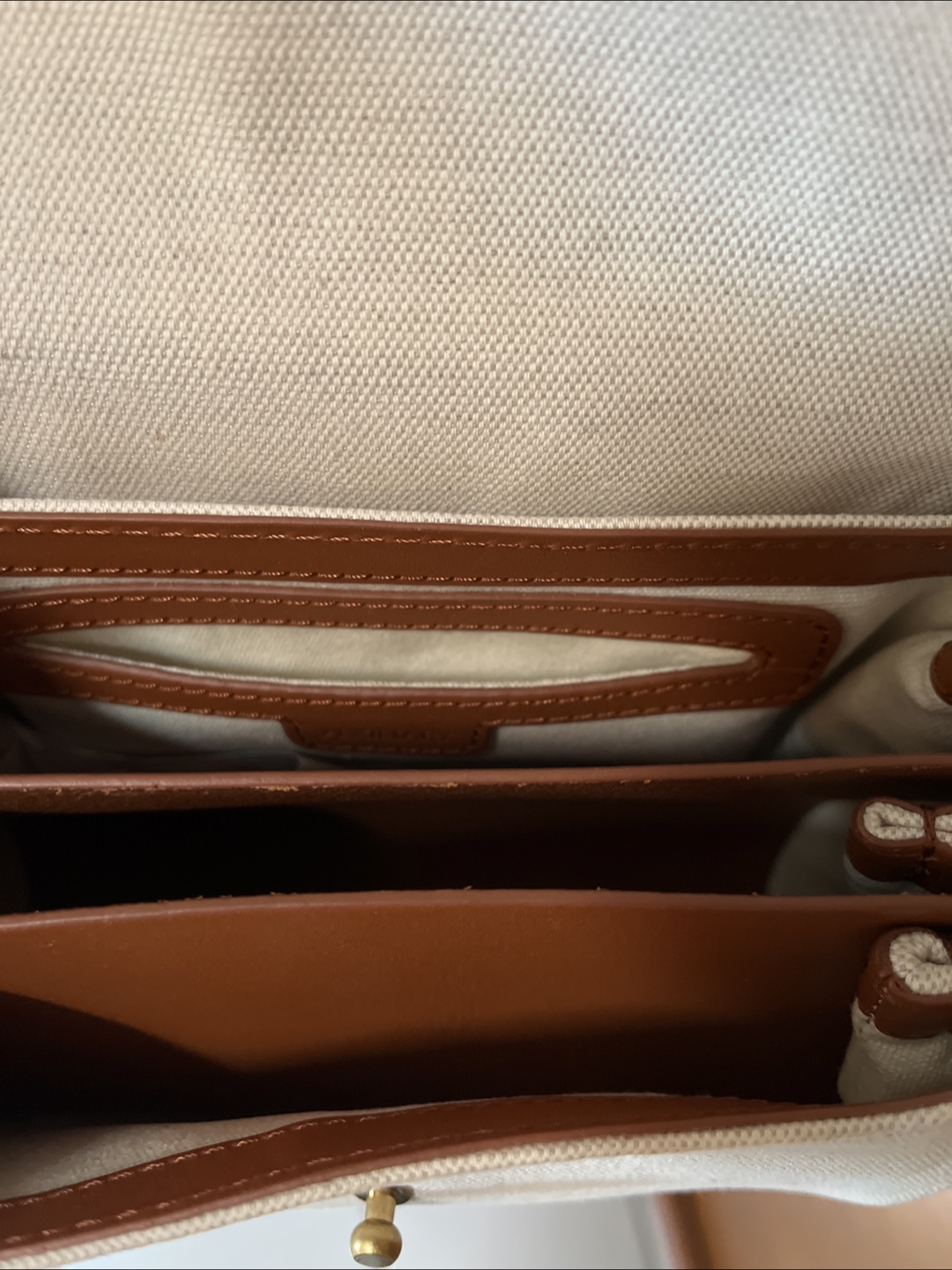Aritzia Auxiliary Micro Dalen crossbody bag - photo 4