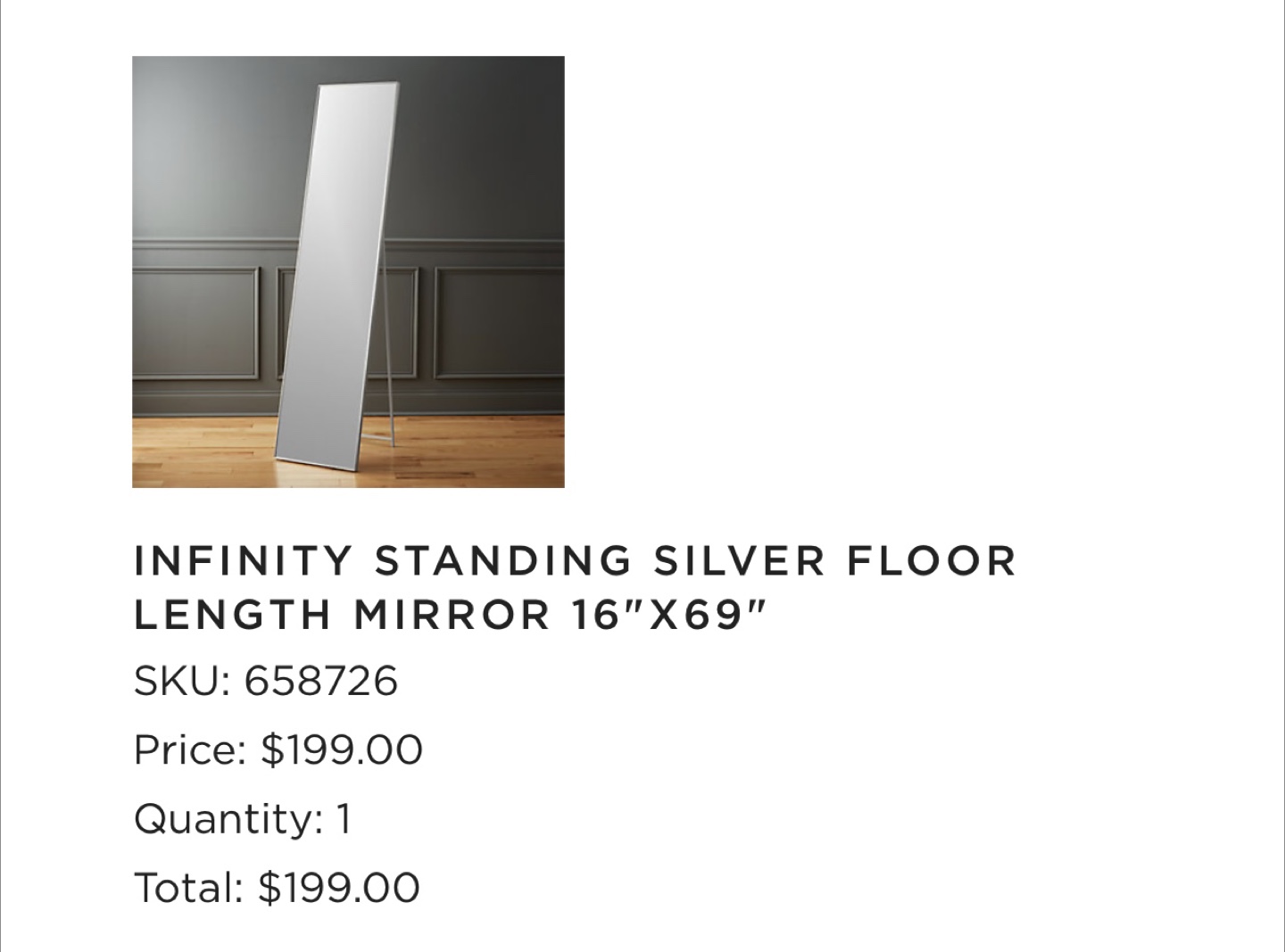 CB2 Standing Silver Floor Length Mirror 16"x69" - photo 4