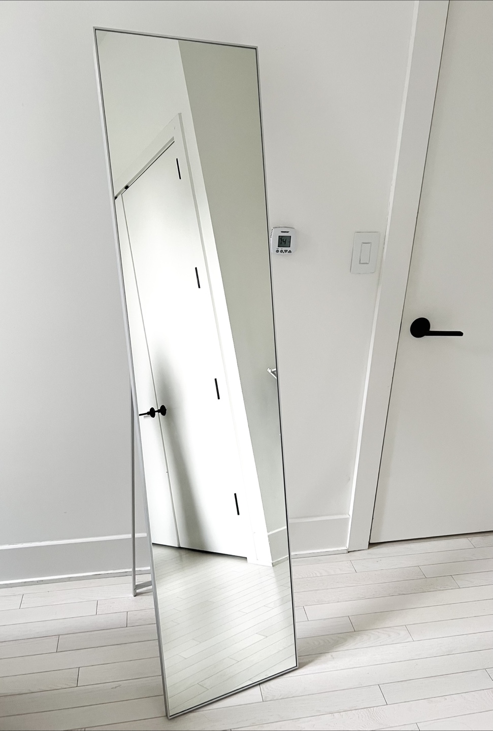 CB2 Standing Silver Floor Length Mirror 16"x69"
