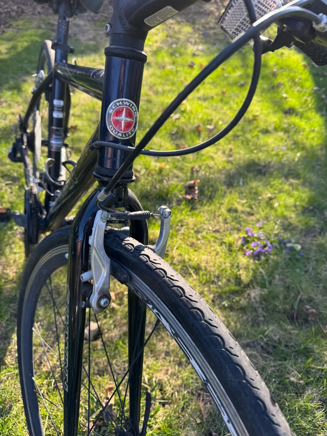 Schwinn Circuit XST Hybrid Bicycle image indicator(3)