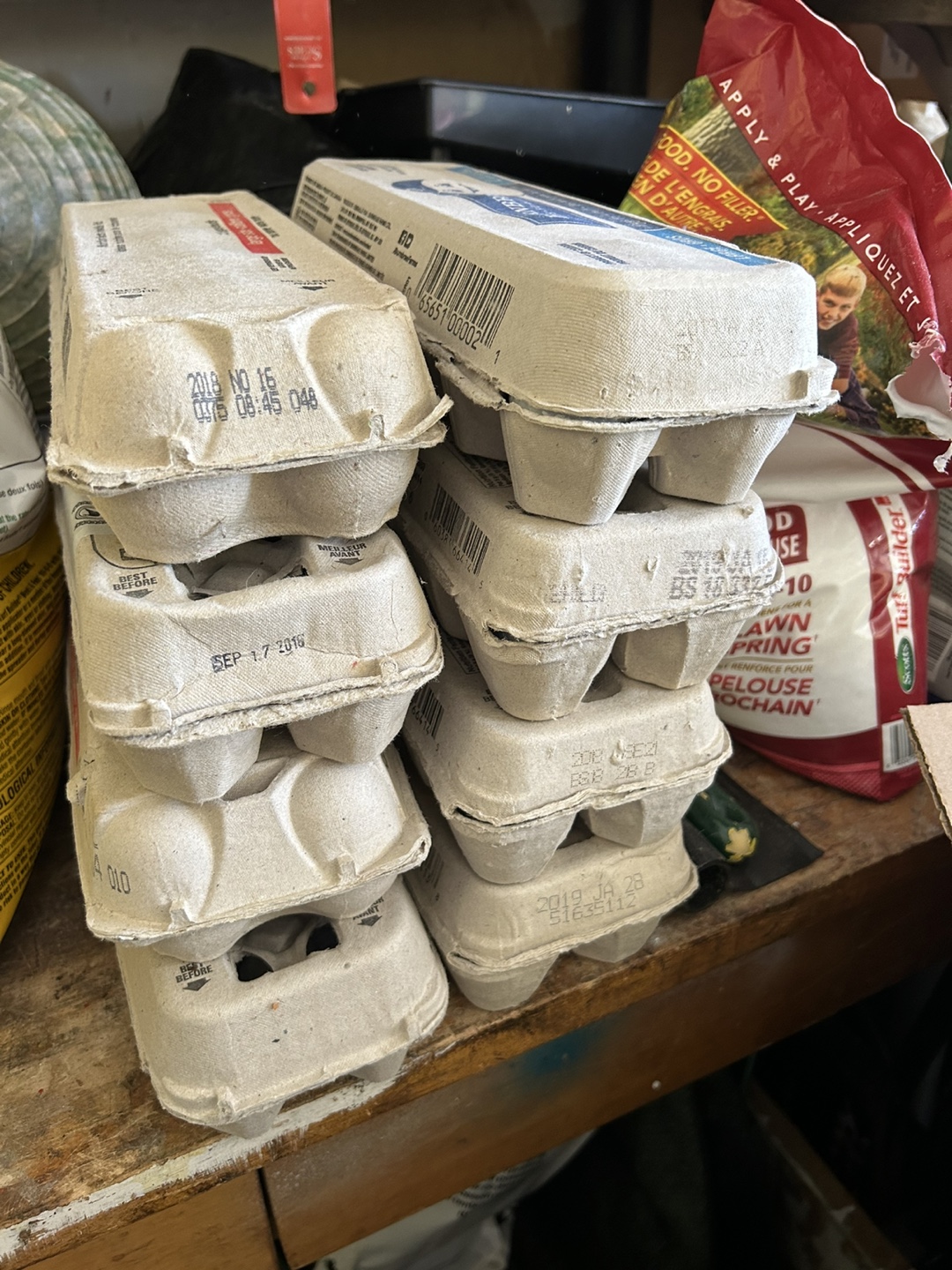Used Golf Balls - Bulk Lot - photo 2