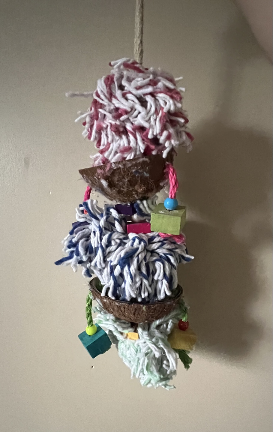 Bird Toy