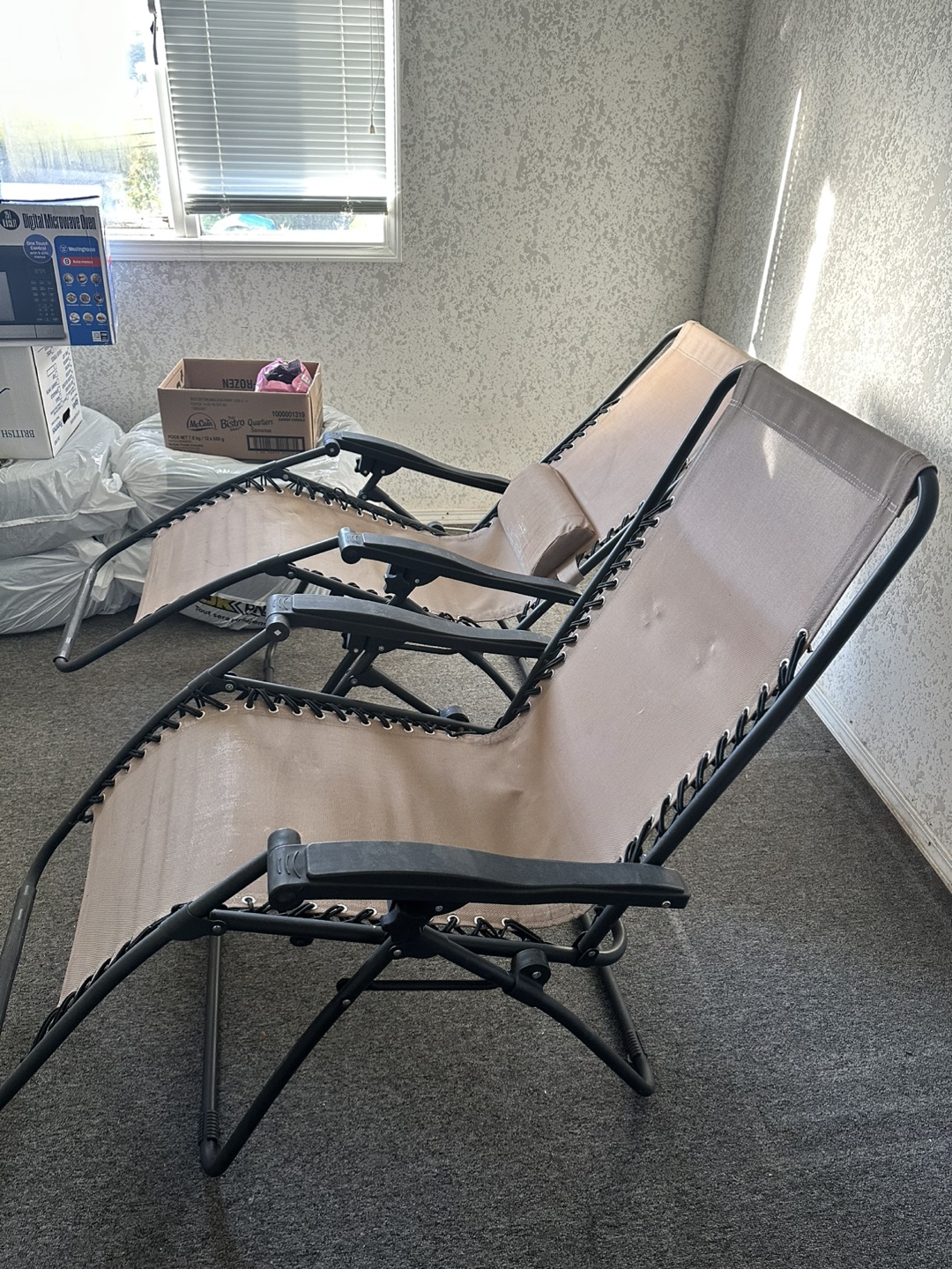 Pair of Zero Gravity Lounge Chairs