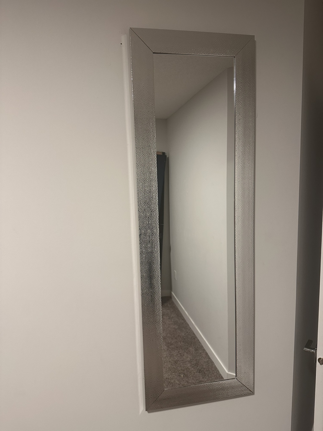Full Length Silver Mirror