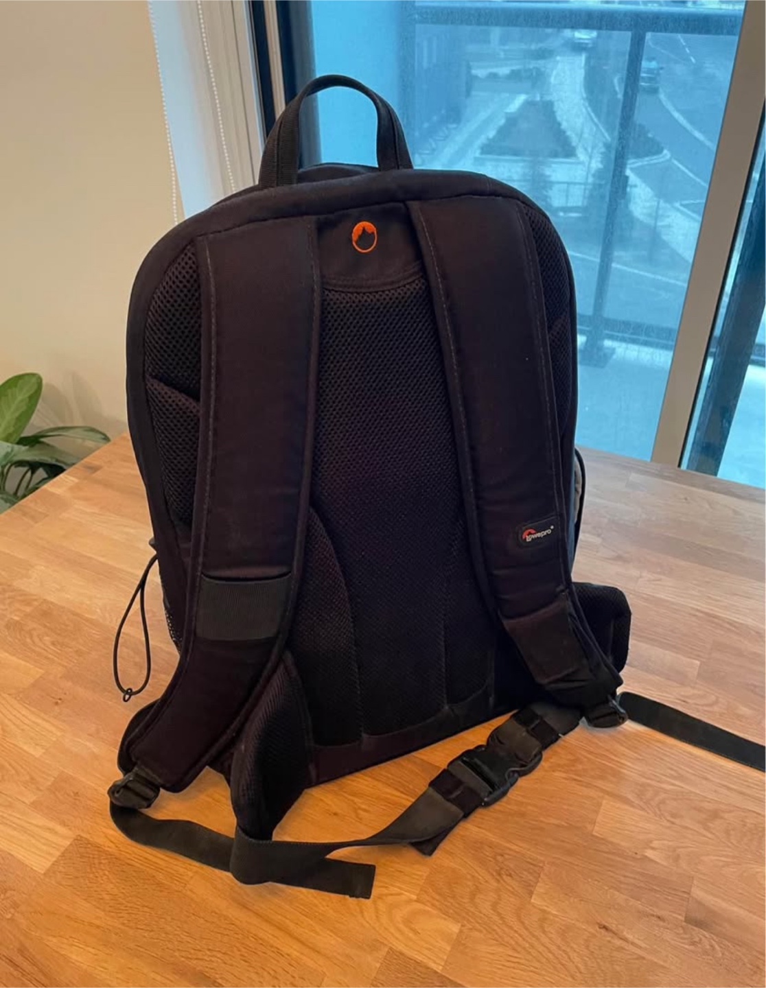 Lowepro Photo Backpack - Black - photo 4