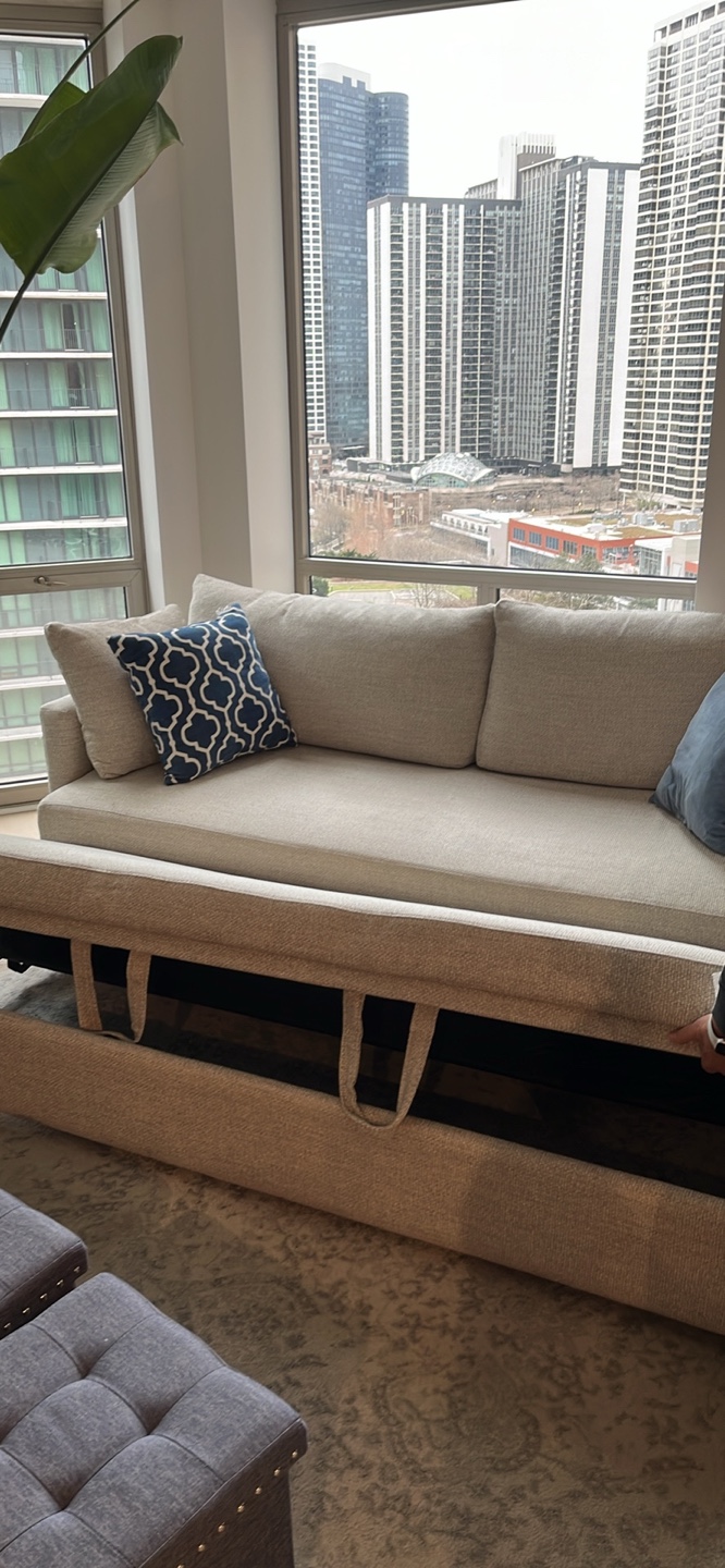 Crate & Barrel sleeper sofa - photo 5