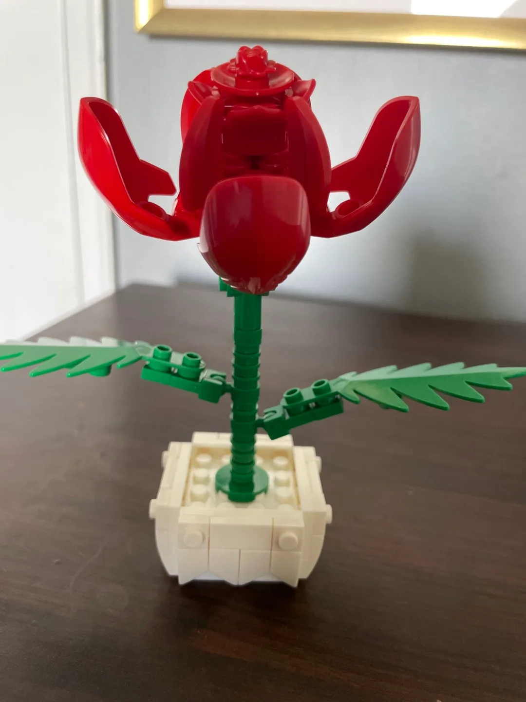 Red Flower in Pot image indicator(3)