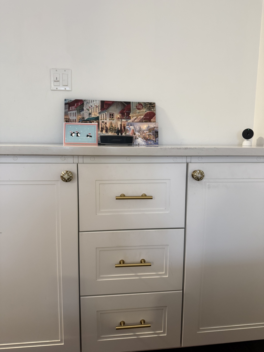 White Cabinet with Quartz Countertop