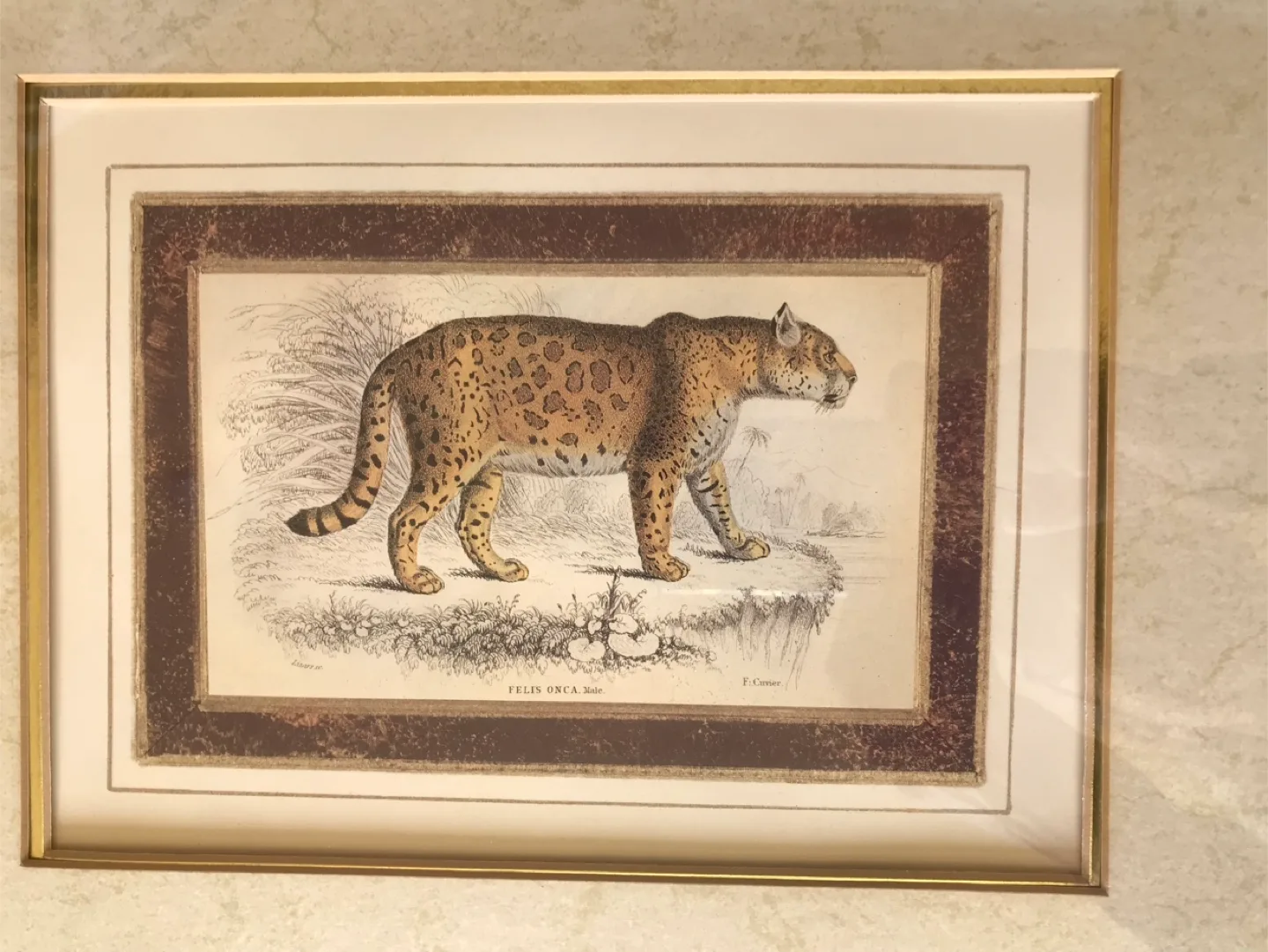 Leopard Print in Gold Frame image indicator(4)
