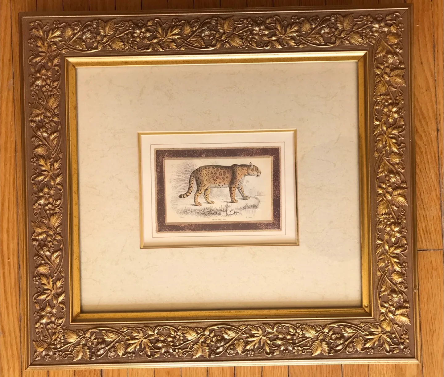 Leopard Print in Gold Frame image indicator(2)