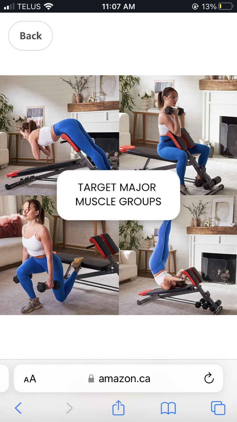[Only Until 4/24!] Bench for Home Gym - photo 3