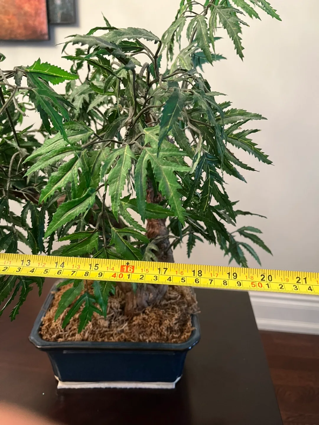 Artificial Bonsai Tree in Dark Blue Pot image indicator(4)