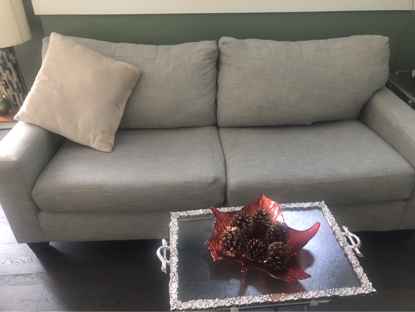 Light Gray Comfy Couch