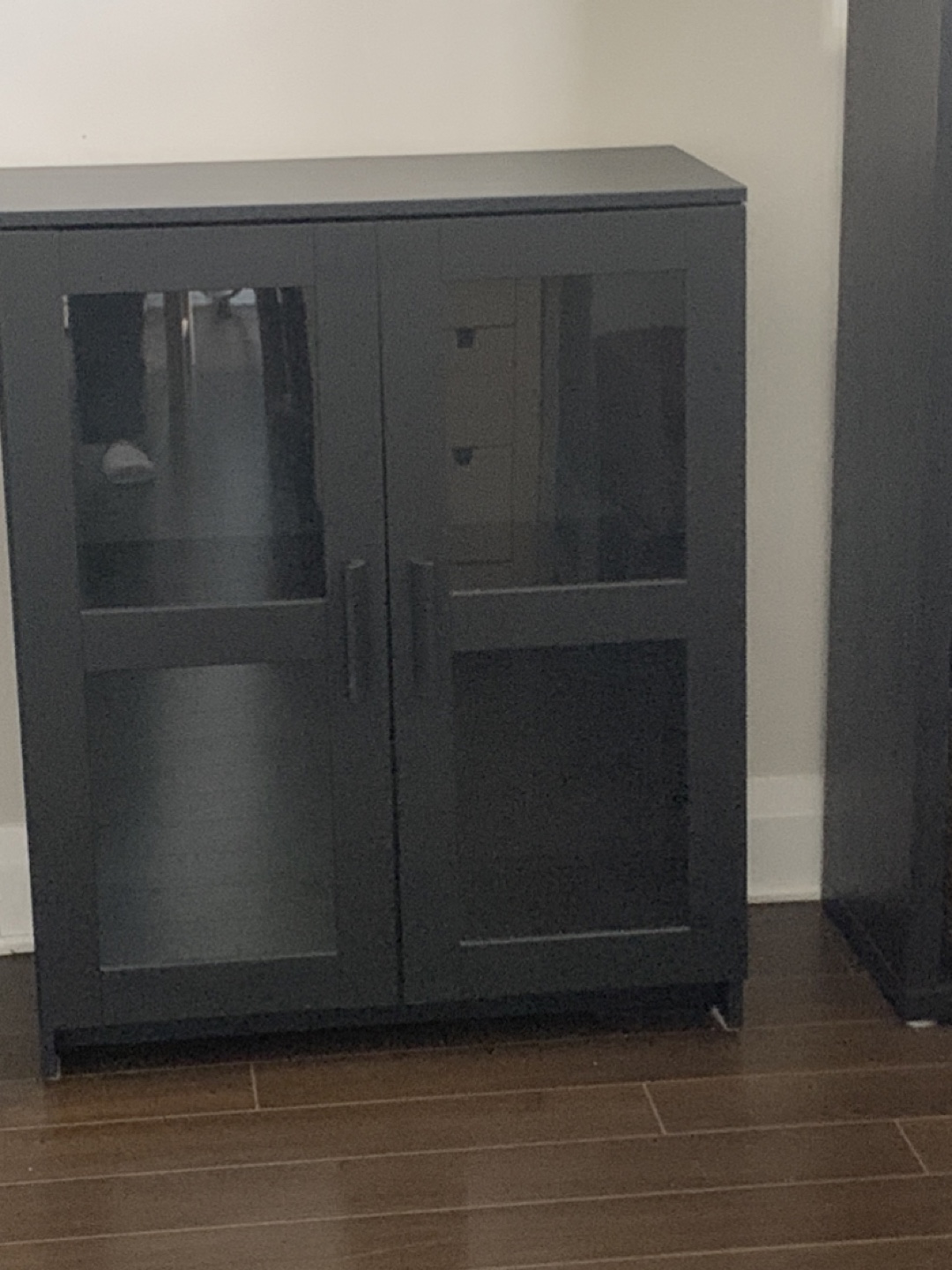 Black Cabinet with Glass Doors