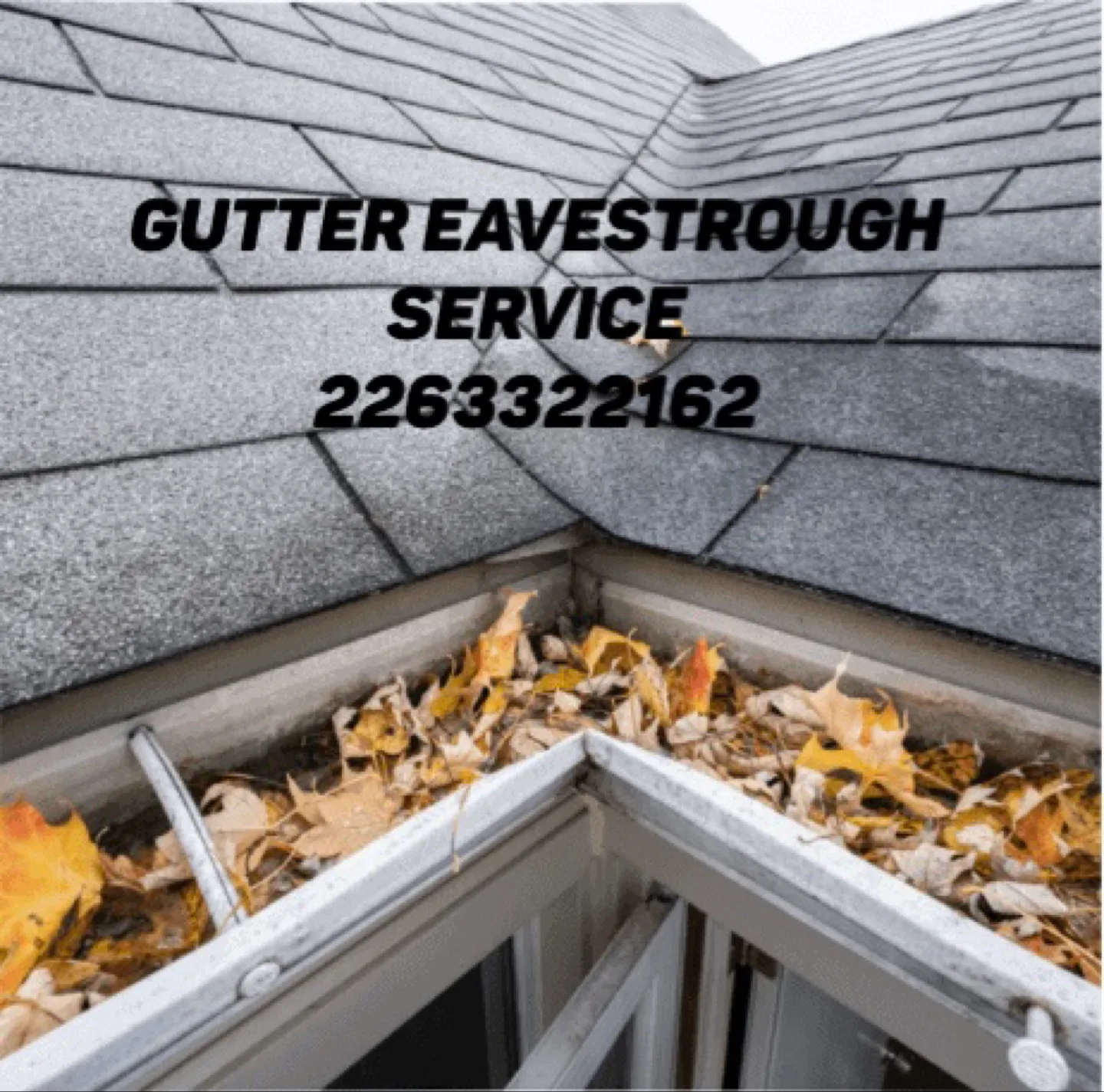 Gutter Cleaning Service thumbnail