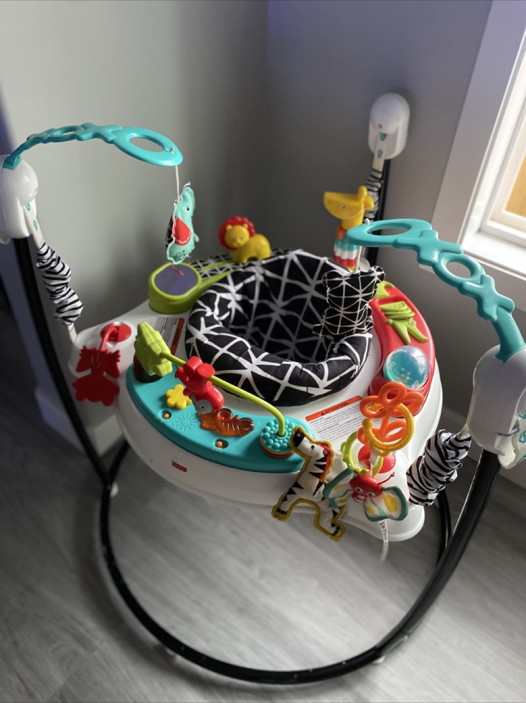 Fisher Price Baby Jumper