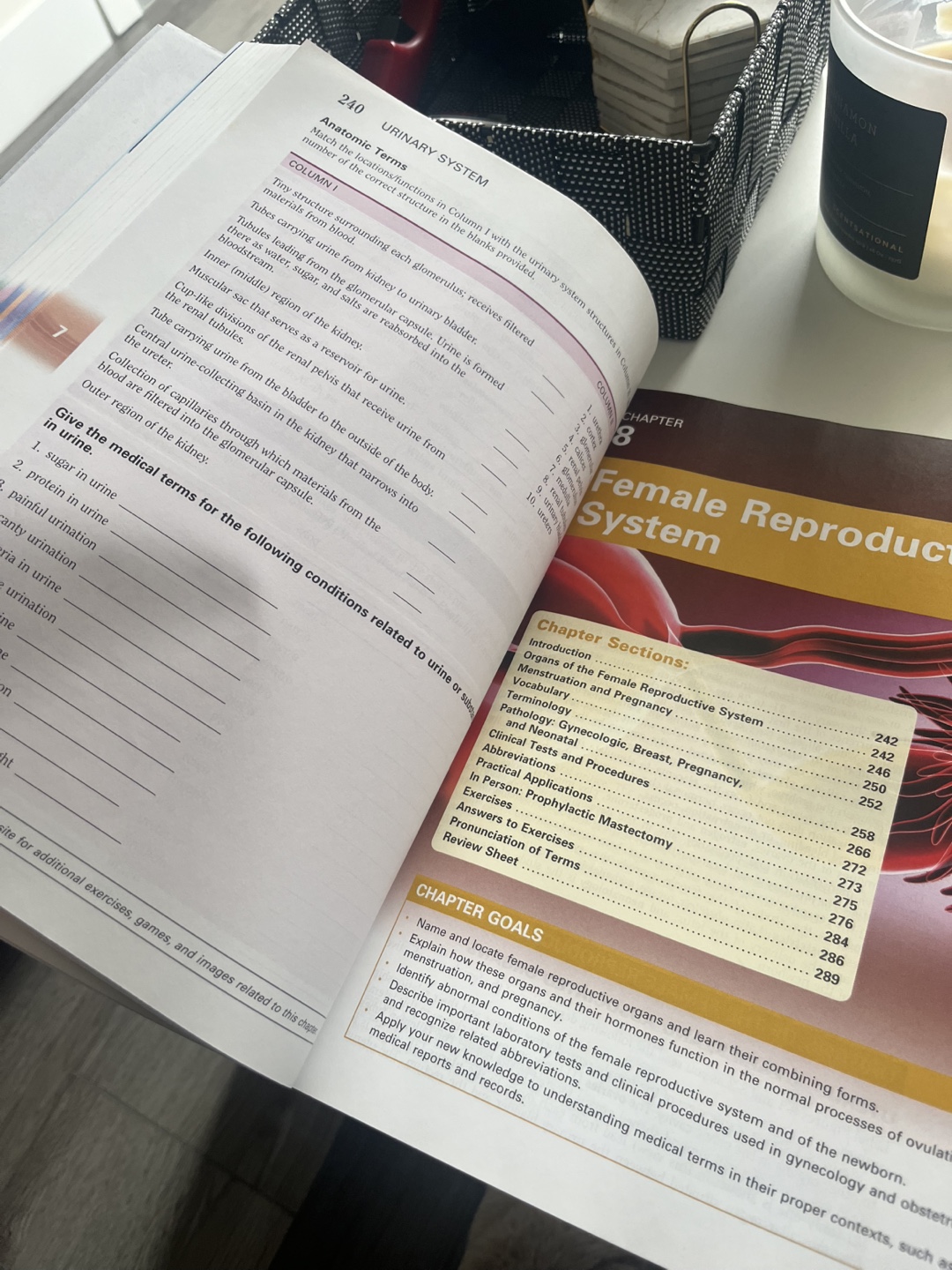 The Language of Medicine Textbook - 12th Edition - photo 2