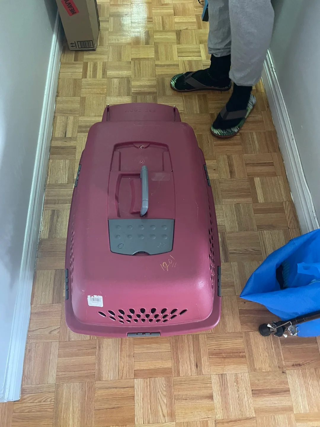 Pet Carrier image indicator(3)