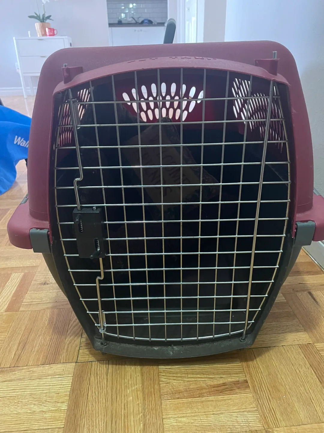 Pet Carrier image indicator(2)