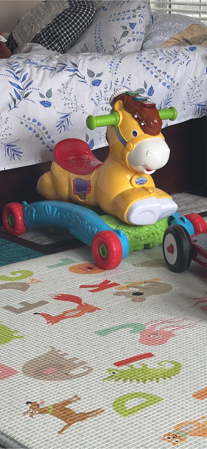 Radio Flyer Ride-On Toys - Rocking Horse and Scooter