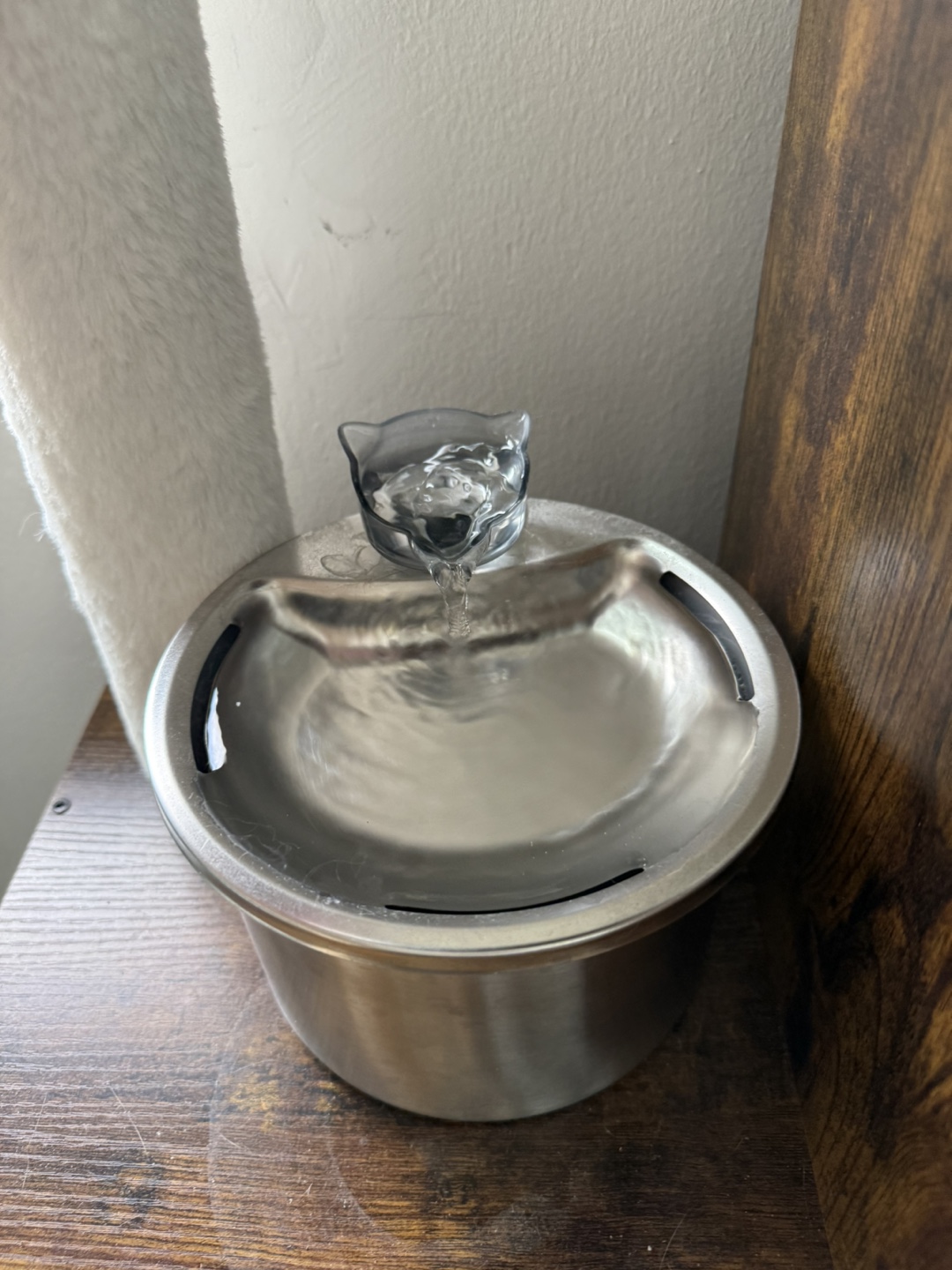 PetSafe Drinkwell Stainless Steel Pet Water Fountain