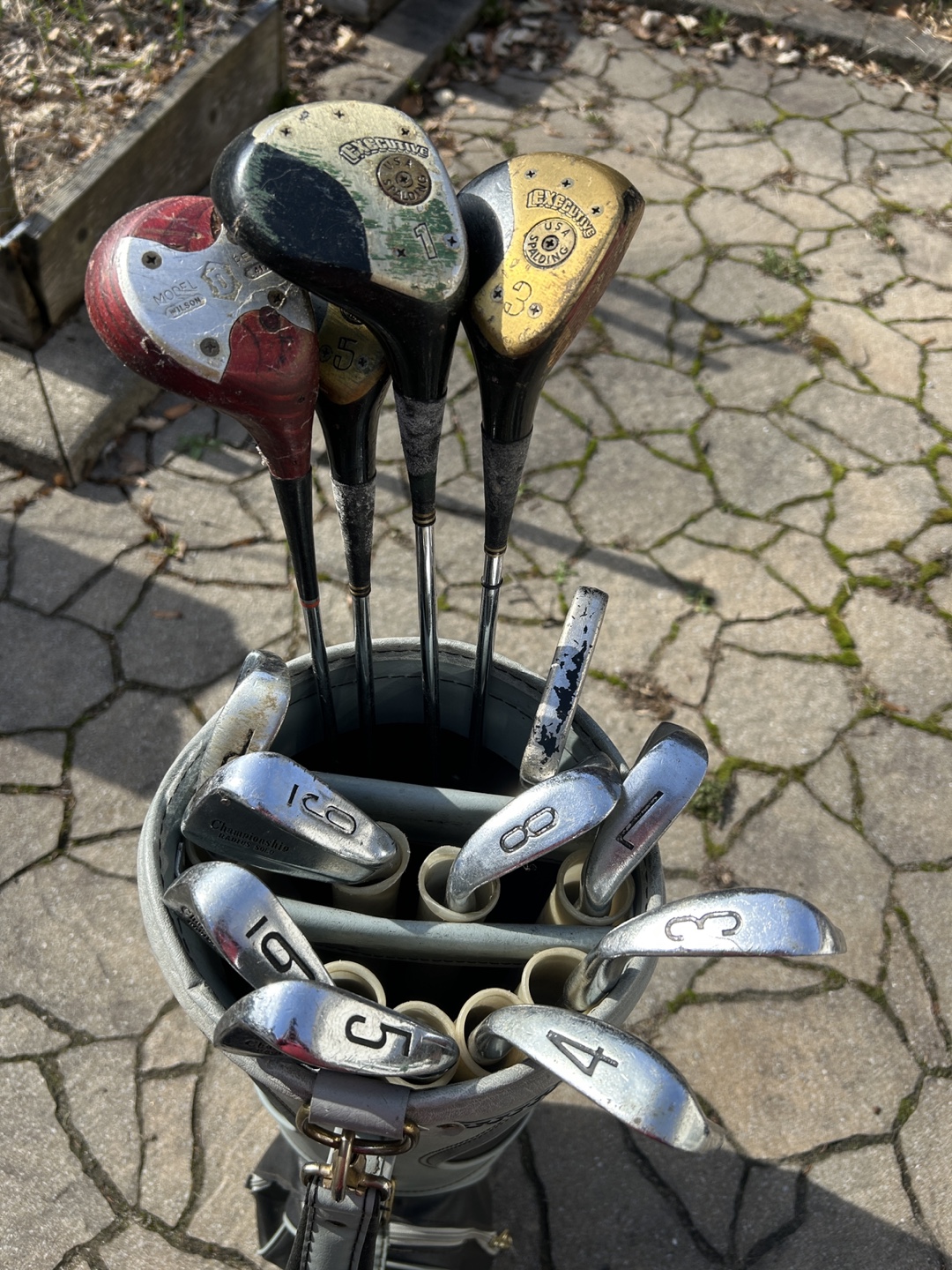 Women’s Vintage Golf Club Set with leather bag and Push Cart - photo 2