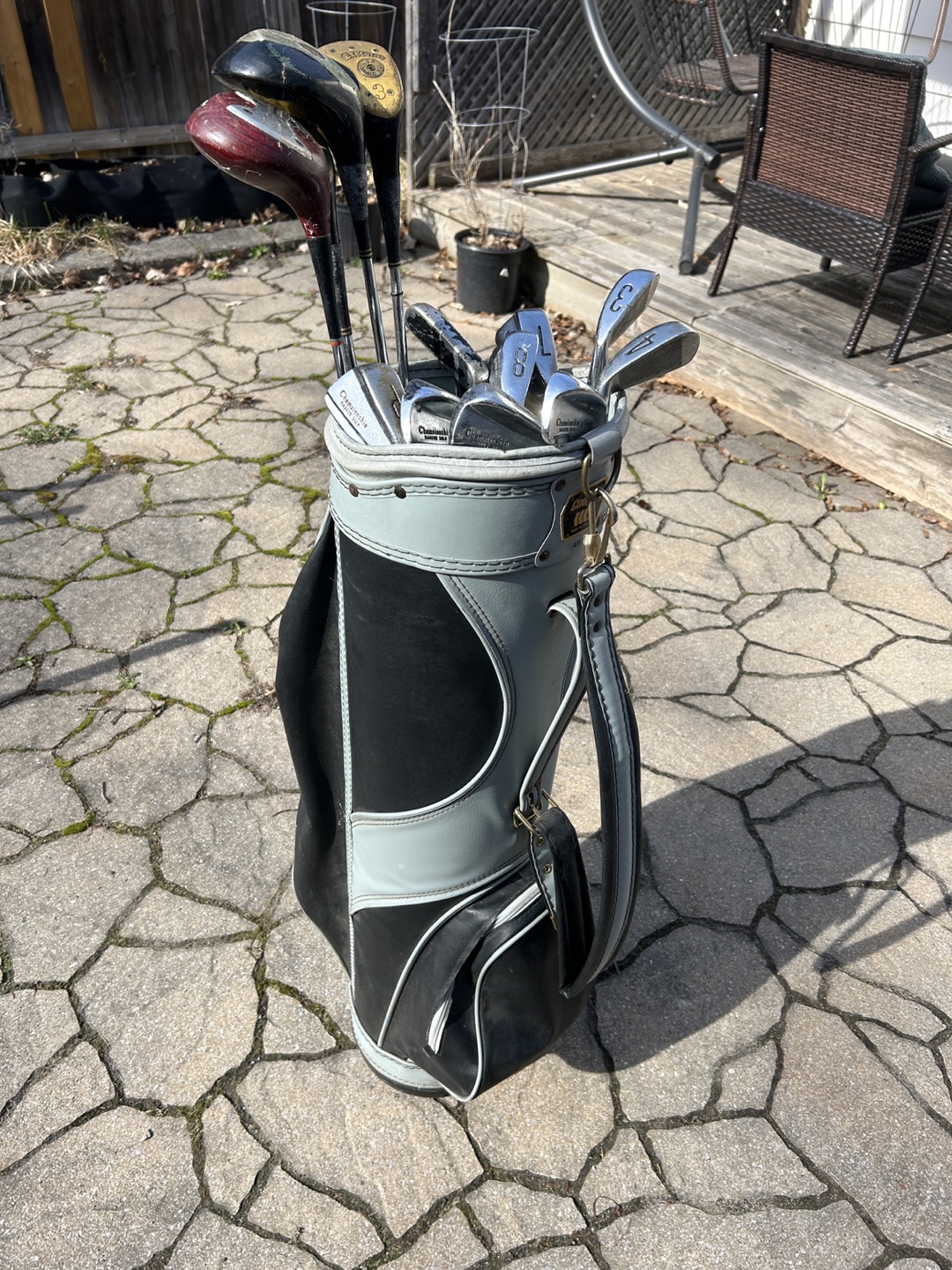 Women’s Vintage Golf Club Set with leather bag and Push Cart