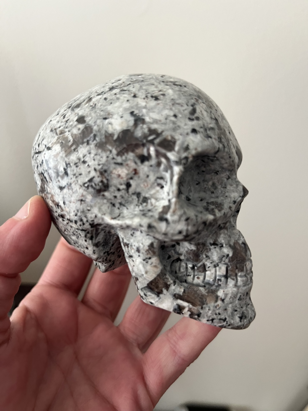 Polished Yooperlite Skull: UV Reactive!