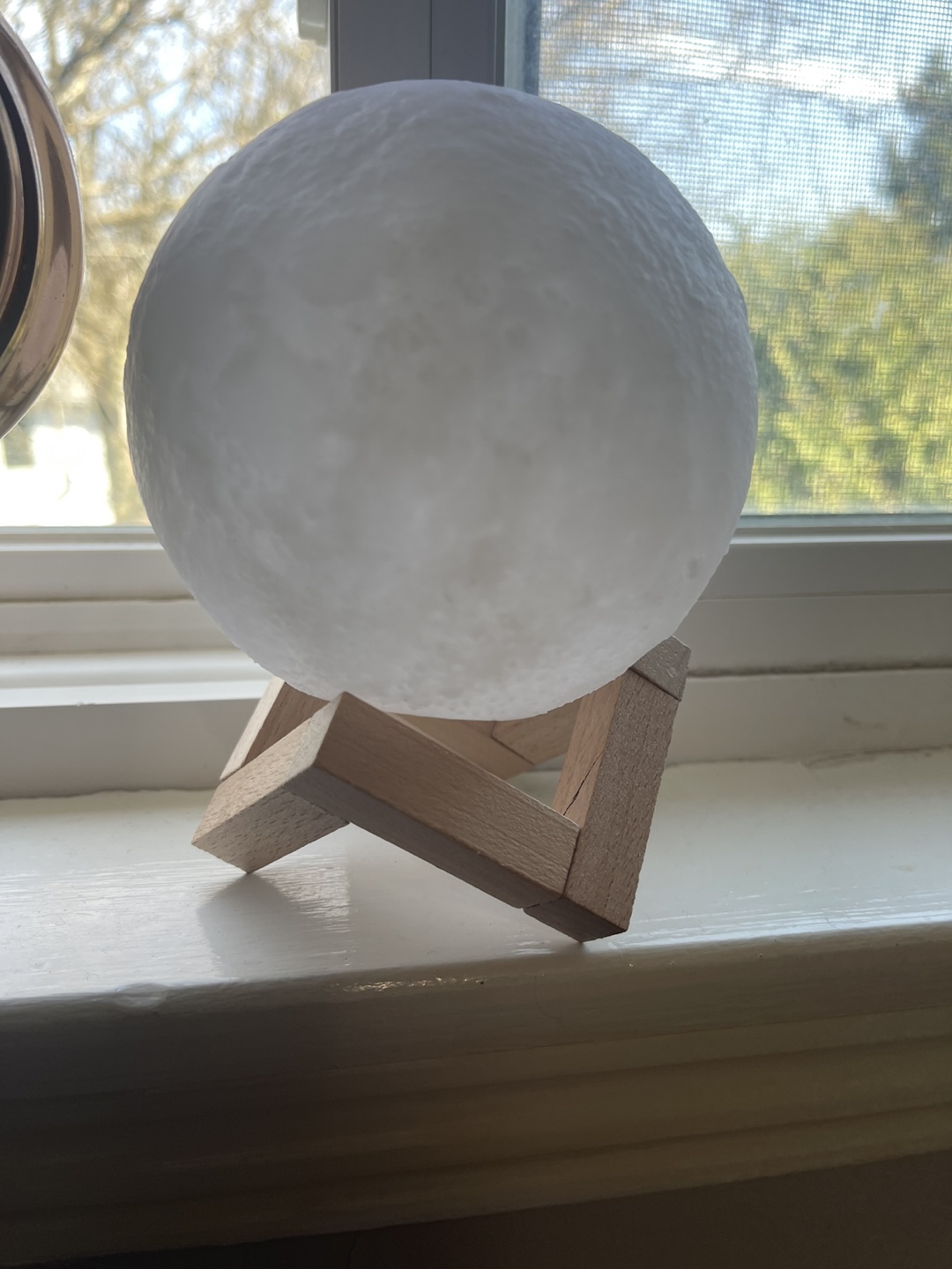 Moon Lamp with Wooden Stand