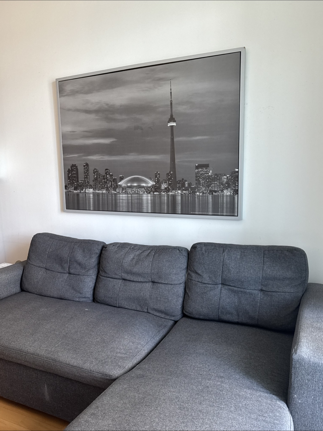 Grey Sectional Sofa with Pull-out Bed