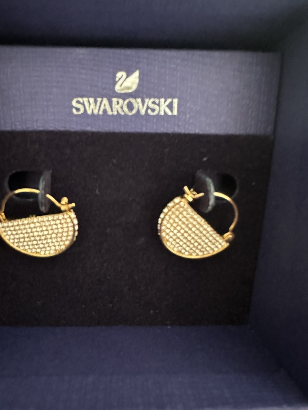 Swarovski PE Hoop Crystal Earrings - photo 2