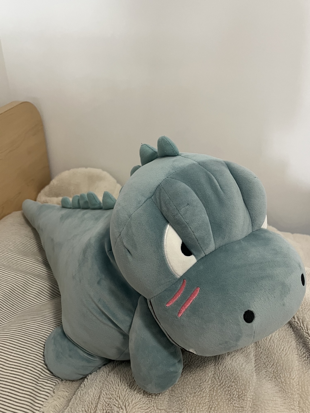 Miniso Dinosaur plushie