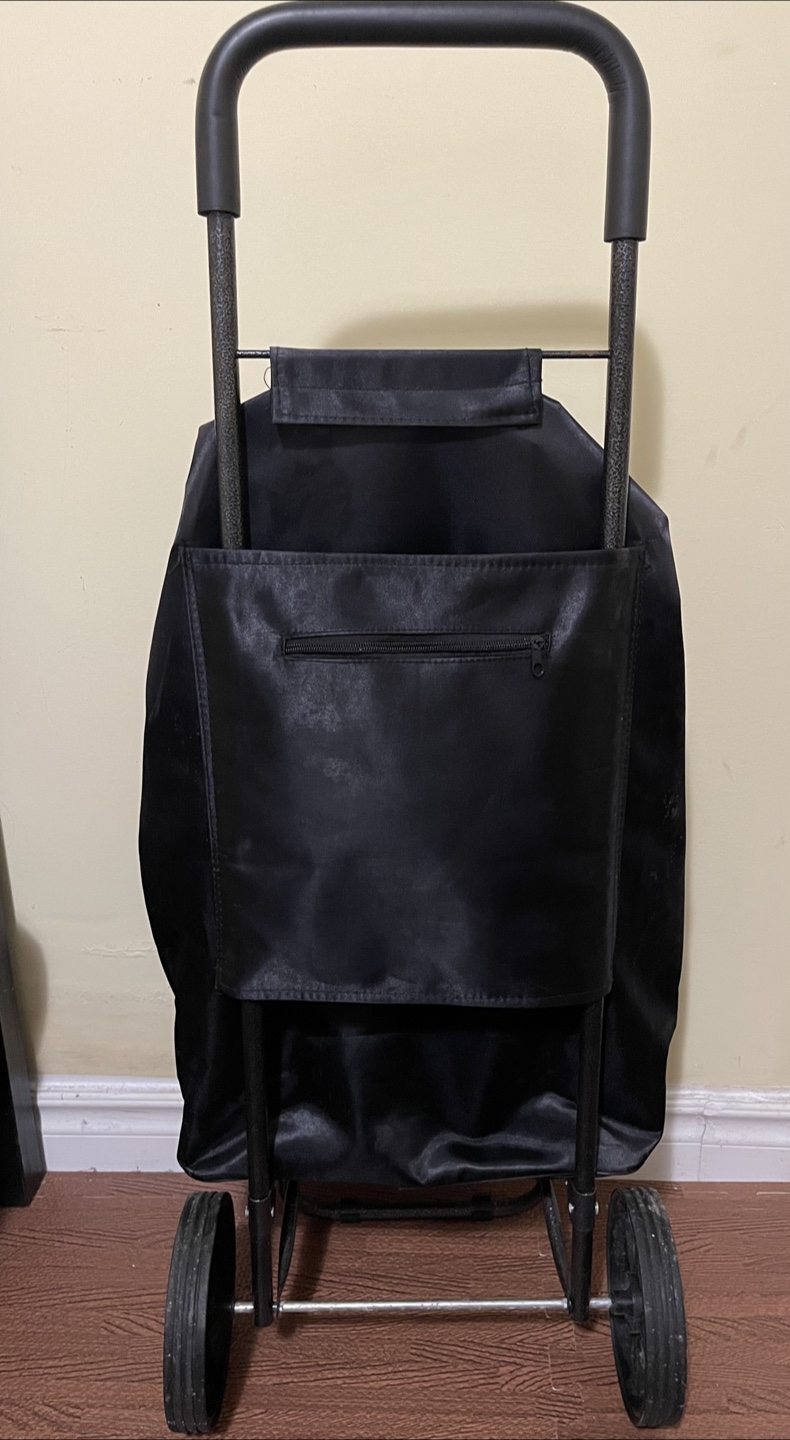 Black Shopping Cart with Collapsible Fabric Bag - photo 3