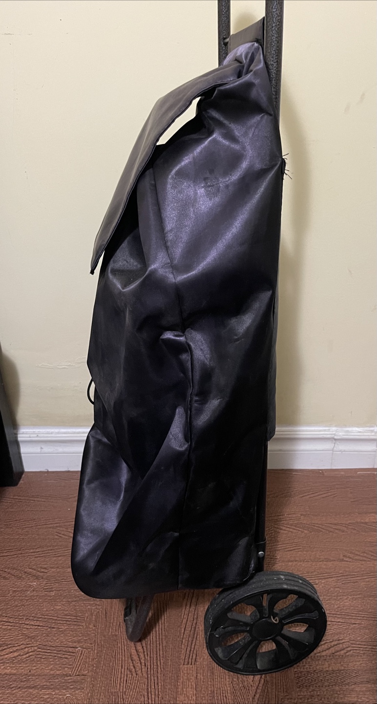 Black Shopping Cart with Collapsible Fabric Bag - photo 2