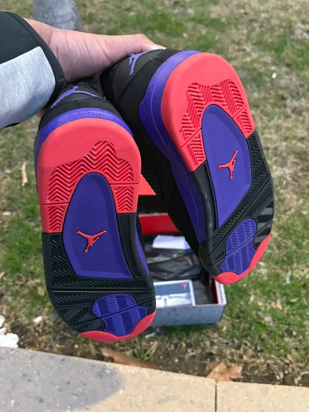 Jordan 4 raptors image indicator(4)