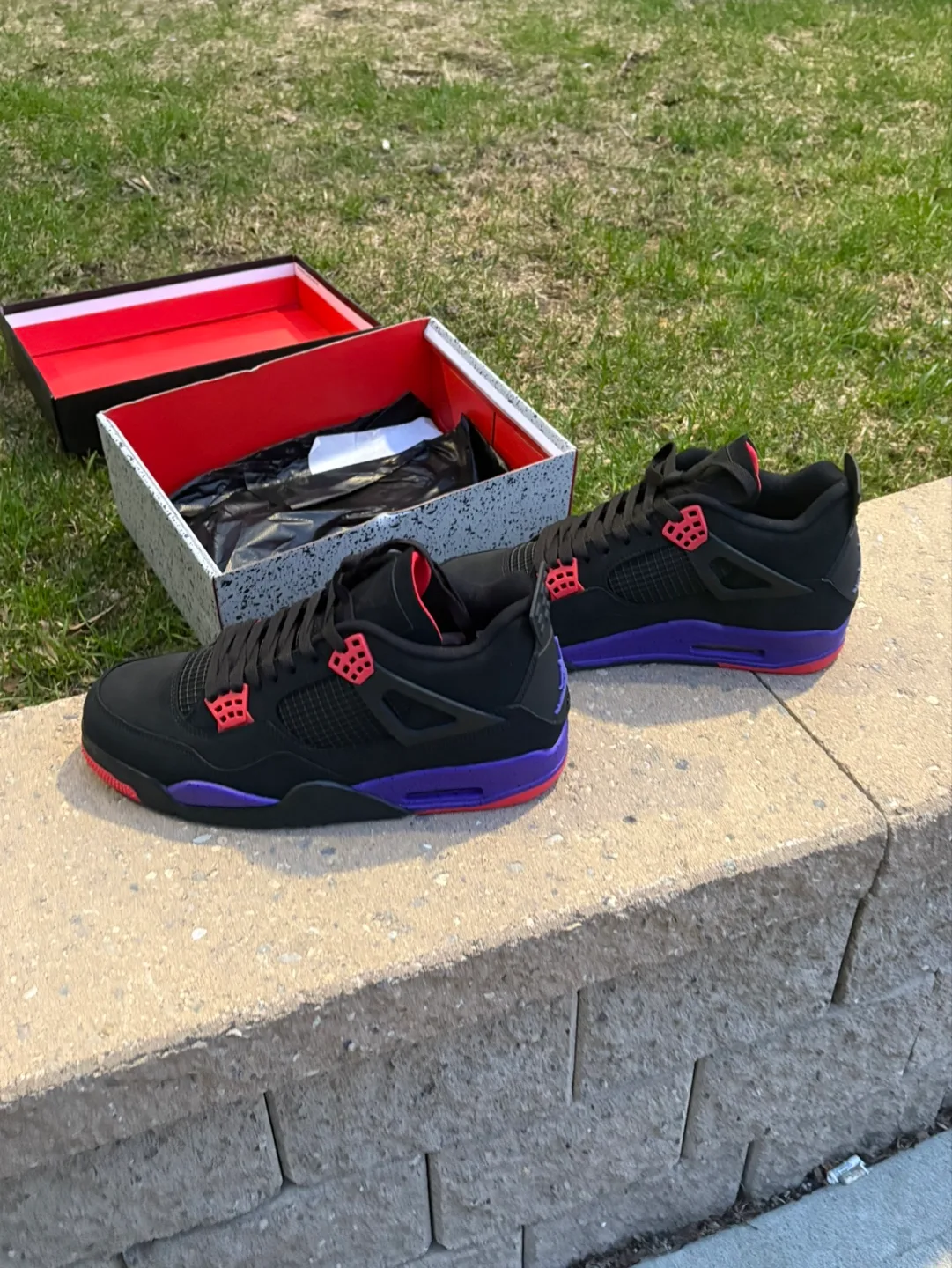 Jordan 4 raptors image indicator(2)