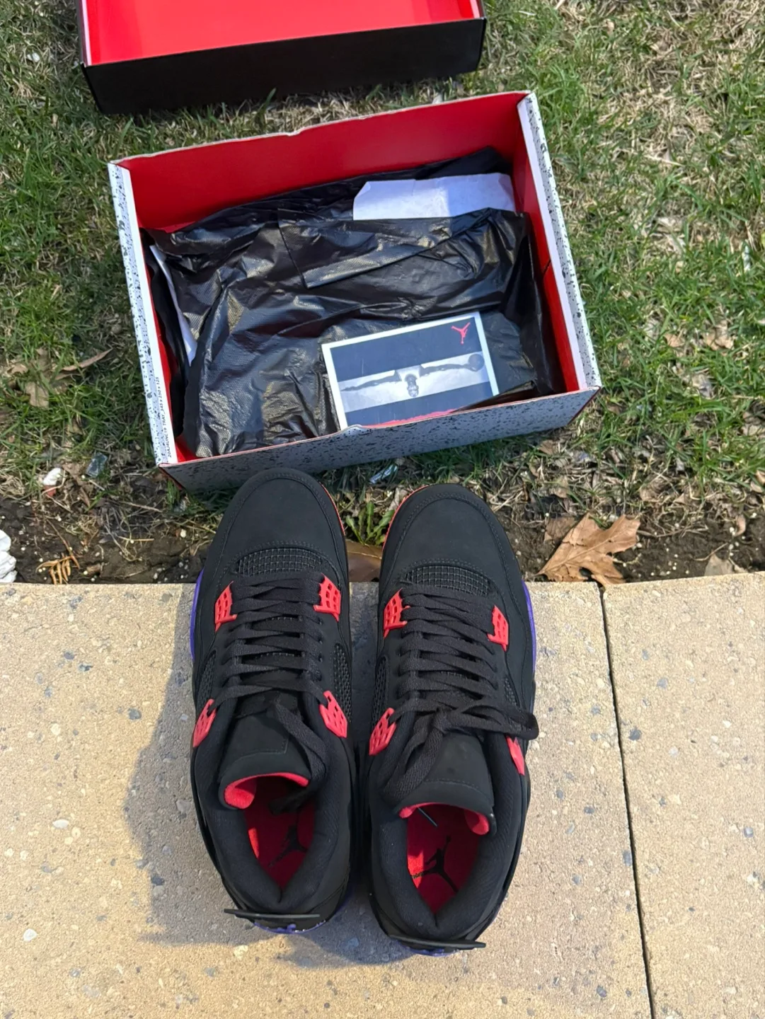 Jordan 4 raptors image indicator(3)