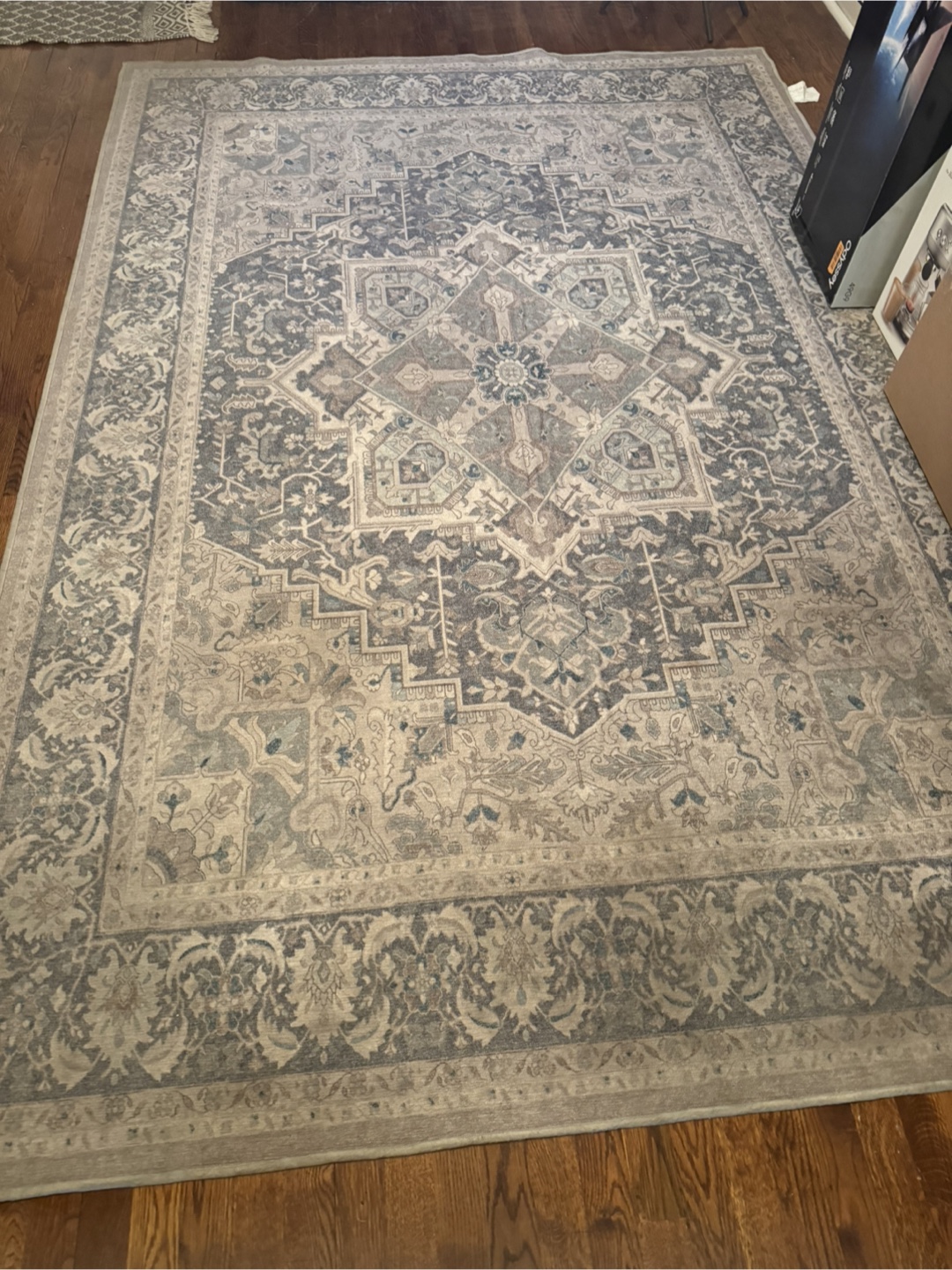 Large Area Rug, Neutral Tones, Intricate Design
